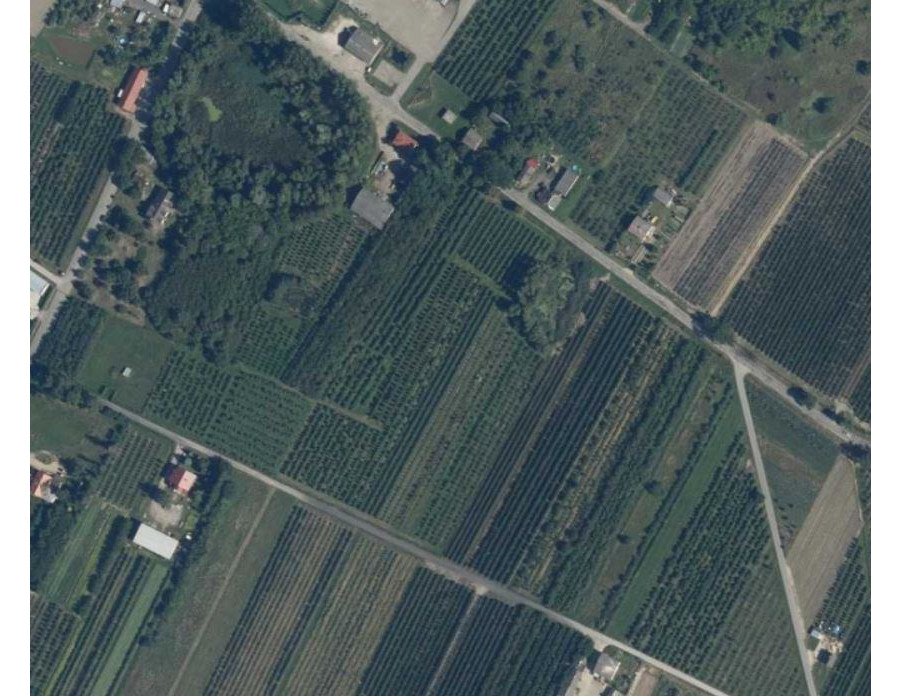 grójecki, Błędów, Zalesie, Zalesie, Świetna działka pod DOM!!!