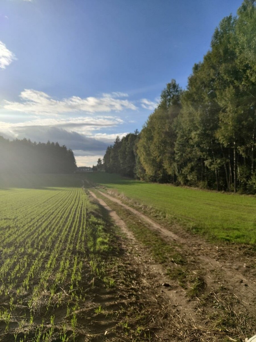 kolneński, Grabowo, Surały, Duża działka z pokładami Żwiru przy VIA BALTICA