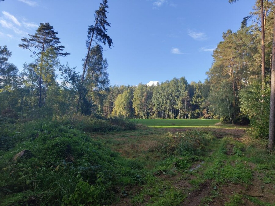 kolneński, Grabowo, Surały, Duża działka z pokładami Żwiru przy VIA BALTICA