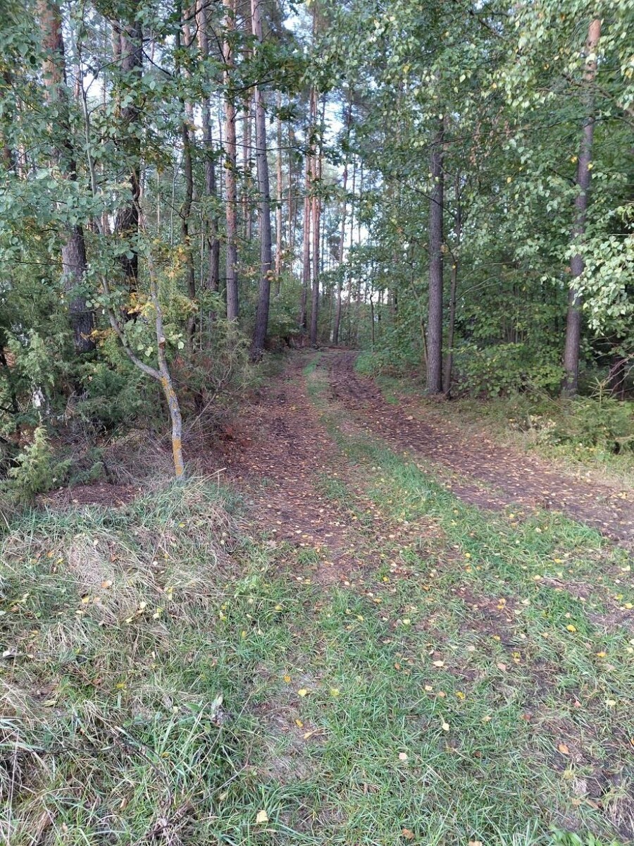 kolneński, Grabowo, Surały, Duża działka z pokładami Żwiru przy VIA BALTICA