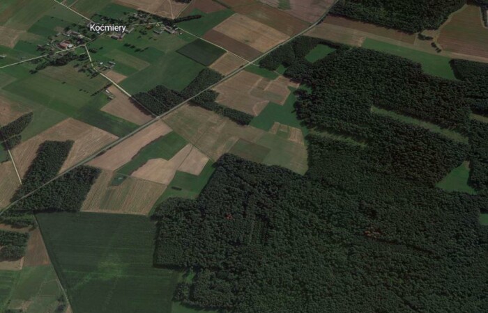 podlaskie, bielski, 1 ha Lasu 50-80 lat, Wyszki
