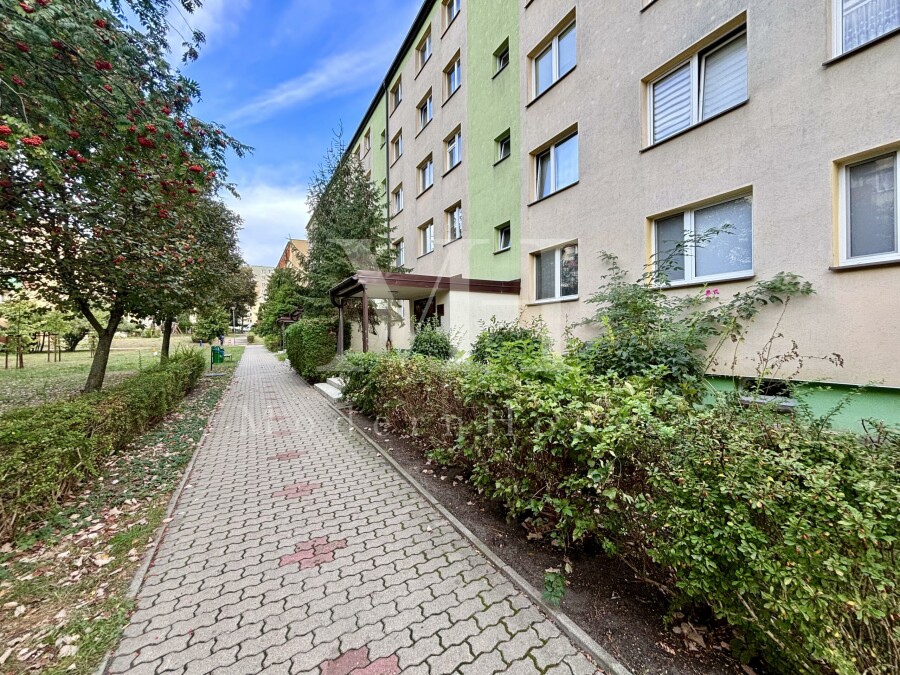 Białystok, Dziesięciny, Gajowa, 2-pokojowe mieszkanie*Do wprowadzenia*Dziesięciny