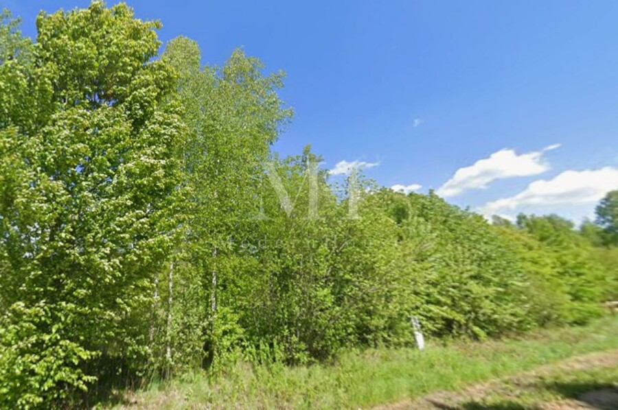 hajnowski, Białowieża, Białowieża, Graniczna, Działka w zielonych płucach Polski