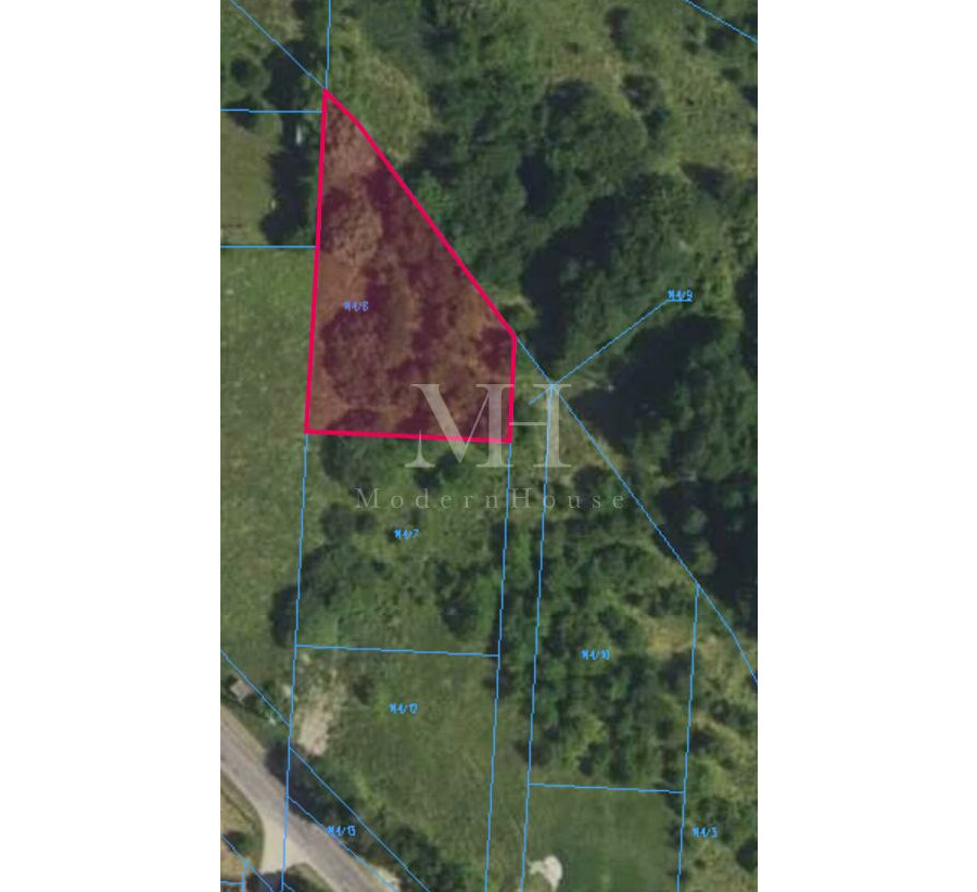 hajnowski, Białowieża, Białowieża, Graniczna, Działka w zielonych płucach Polski