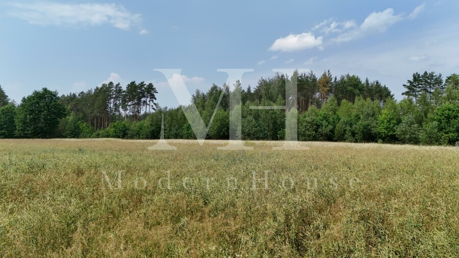 białostocki, Zabłudów, Kuriany, Podleśna, Świetna działka inwestycyjna w Kurianach!