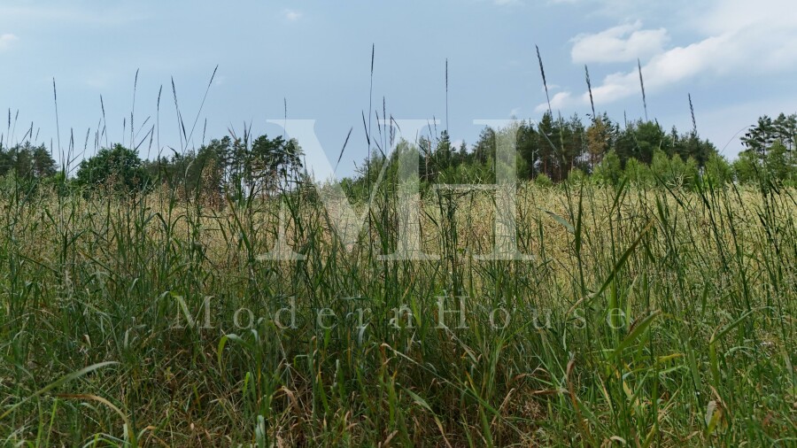 białostocki, Zabłudów, Kuriany, Podleśna, Świetna działka inwestycyjna w Kurianach!