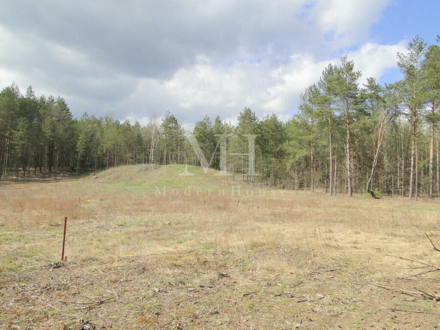 białostocki, Wasilków, Sochonie, Malownicza działka na leśnej polanie - Sochonie, gmina Wasilków.