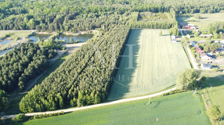 hajnowski, Narew, Podborowisko, Zielone Podlasie – działka z warunkami zabudowy, blisko Hajnówki!