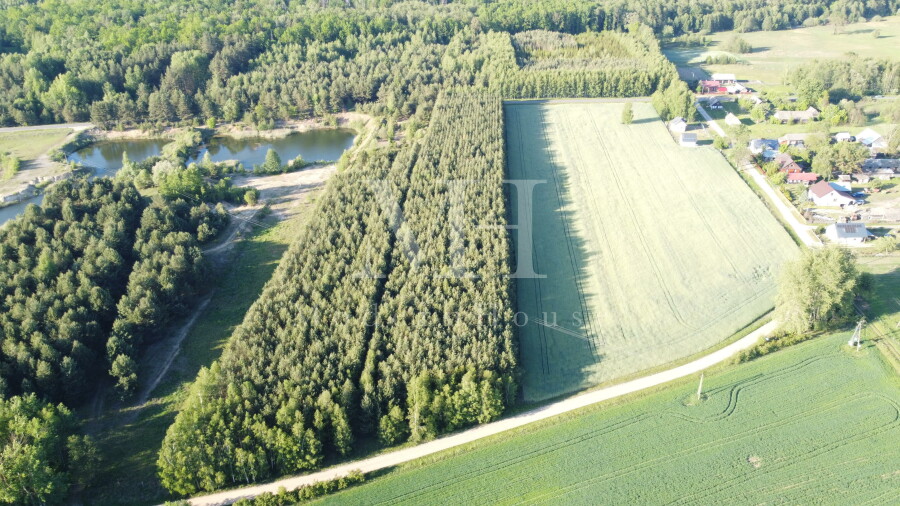 hajnowski, Narew, Podborowisko, Zielone Podlasie – działka z warunkami zabudowy, blisko Hajnówki!