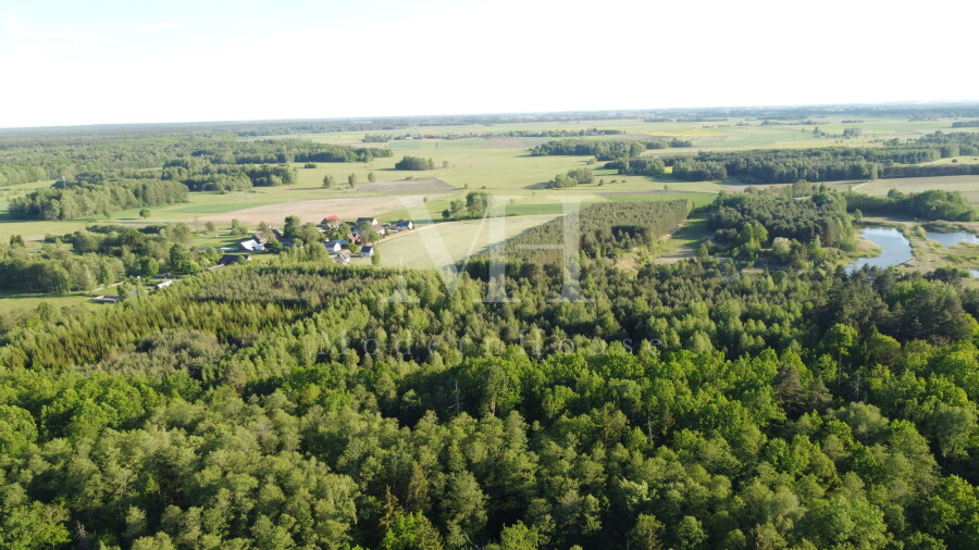 hajnowski, Narew, Podborowisko, Zielone Podlasie – działka z warunkami zabudowy, blisko Hajnówki!