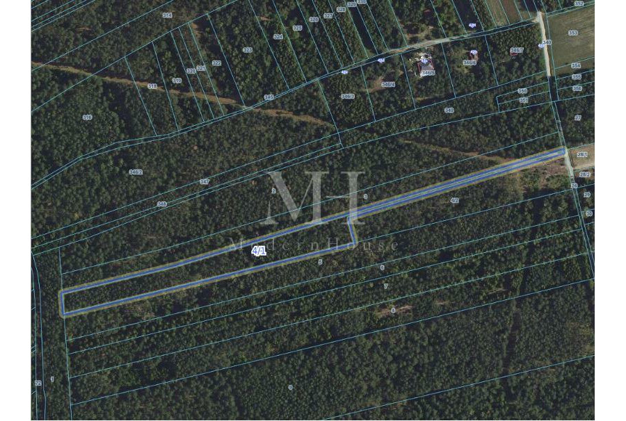 płoński, Nowe Miasto, Salomonka, Działka rolno-leśna 8 947 m²  – Salomonka, gm. Nowe Miasto