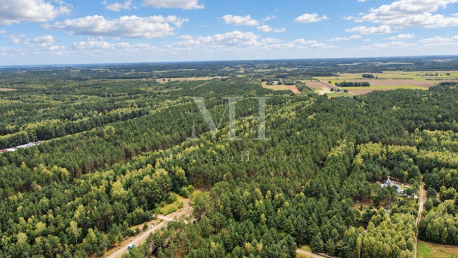 płoński, Nowe Miasto, Salomonka, Działka rolno-leśna 8 947 m²  – Salomonka, gm. Nowe Miasto